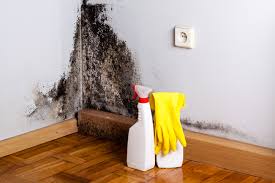 Best Mold Removal for HVAC Installations in USA